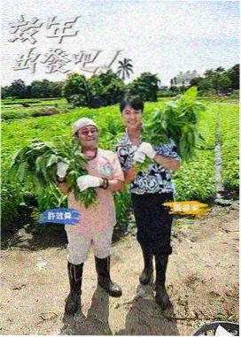 周末同床在线观看票房破亿